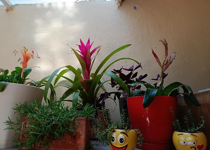 Apartman Studio Antonio Split