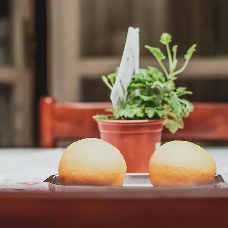 Appartement Antonio Split