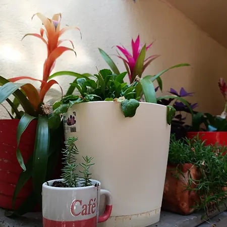 Appartement Antonio *