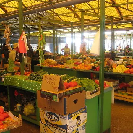 Appartamento Antonio