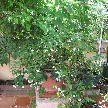 Apartamento Antonio *